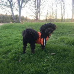 Urban Pup Regnjacka