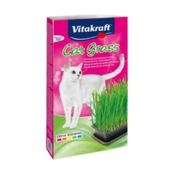 Vitakraft Kattgräs