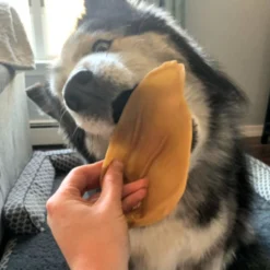 Whimzees Veggie Ear