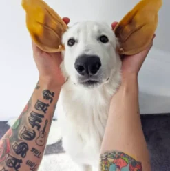 Whimzees Veggie Ear