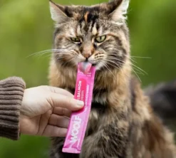 WOOLF Wildcat Cream Beef & Shrimp Oil