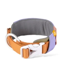 Woolly Wolf Alpha 360 Hundhalsband